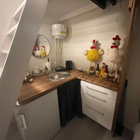 Konukevi Bekkvang Fjos Tiny House *