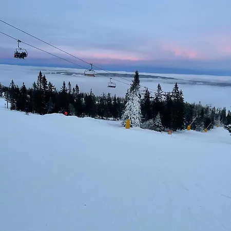 Bekkvang Fjos Tiny House * Trysil