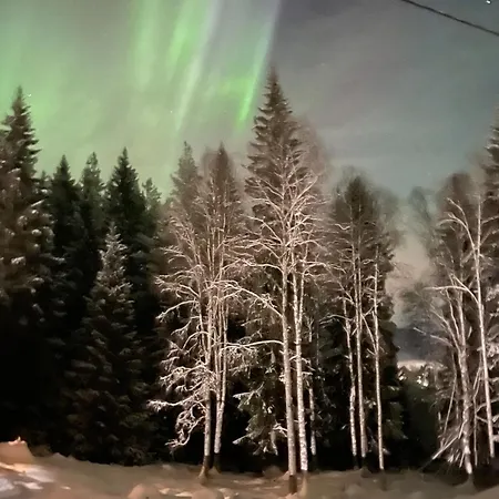 Bekkvang Fjos Tiny House Trysil