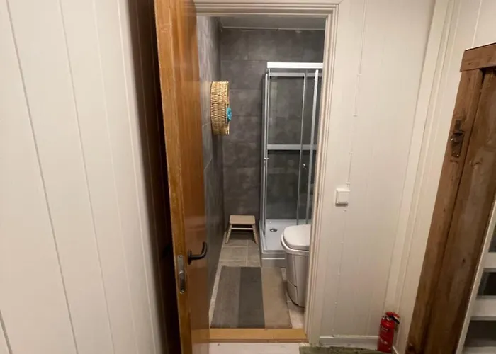 Bekkvang Fjøs Tiny House 3*