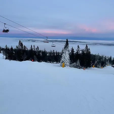 Bekkvang Fjos Tiny House Trysil