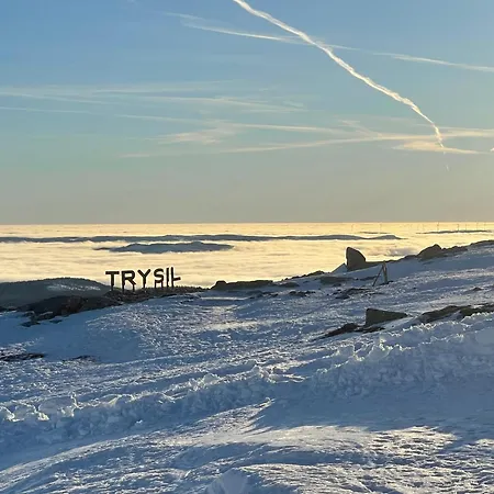 Πανσιόν Bekkvang Fjos Tiny House 3*