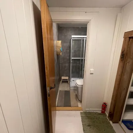 Bekkvang Fjos Tiny House 3*