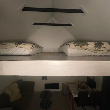 Bekkvang Fjos Tiny House Trysil